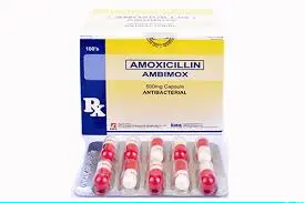 Amoxicillin